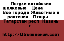 Петухи китайские шелковые › Цена ­ 1 000 - Все города Животные и растения » Птицы   . Татарстан респ.,Казань г.